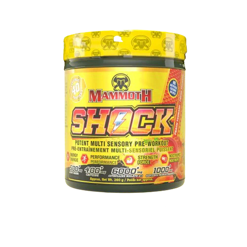 Mammoth Shock